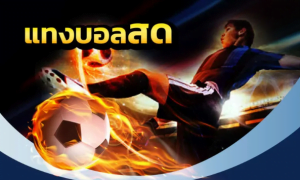 เว็บแทงบอลสดufabet